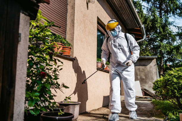 Best Wasp Removal Services  in Storrs, CT