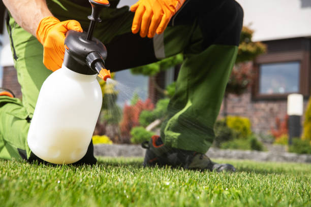 Best Pest Removal Services  in Storrs, CT