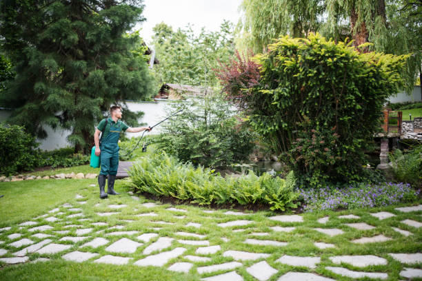 Best Ant Control Services  in Storrs, CT