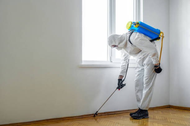 Insect Control in Storrs, CT