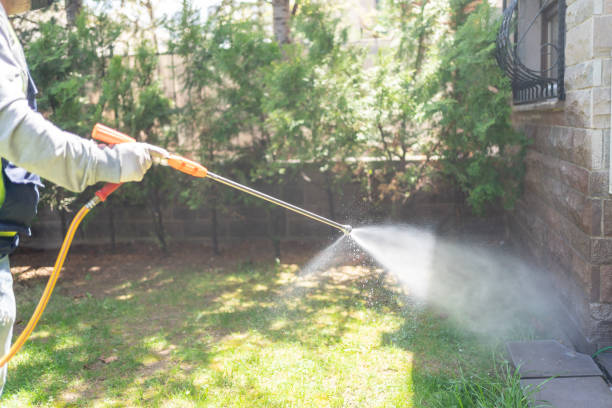 Best Insect Control  in Storrs, CT