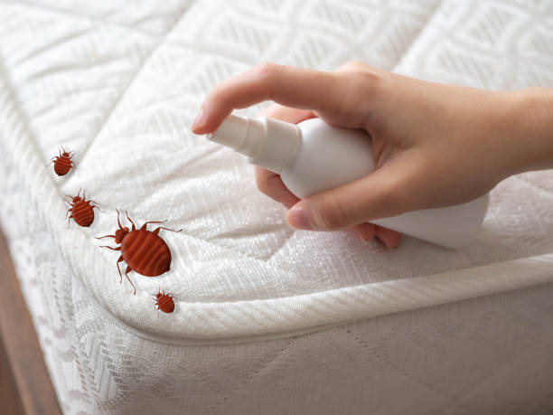 Best Pest Control for Restaurants  in Storrs, CT