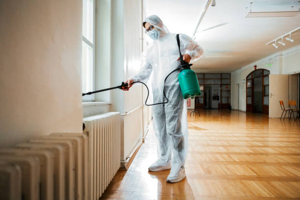 Best Cockroach Control Services  in Storrs, CT