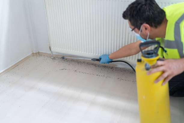 Best Commercial Pest Control Services  in Storrs, CT