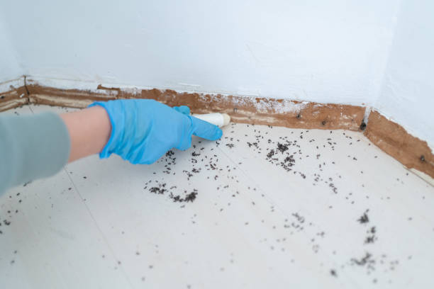 Pest Control for Restaurants in Storrs, CT
