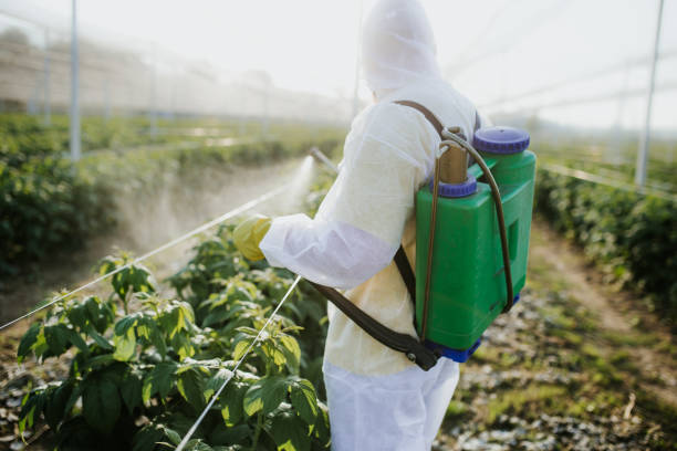 Best Affordable Pest Control Services  in Storrs, CT